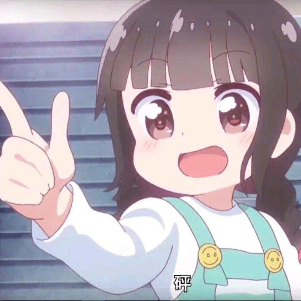二次元内容